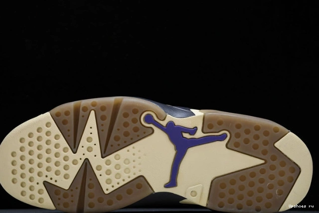 6 Retro FD1643-300  Brown Gore-Tex Kelp Jordan 0807